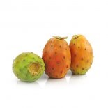 Prickly-pears