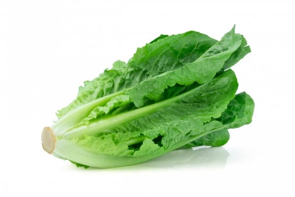 Fresh,Green,Lettuce,Leaves,,Salad,Leaf,Isolated,On,White,Background.