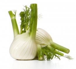 Fresh,Fennel,Bulb,Isolated,On,White,Background,Close,Up