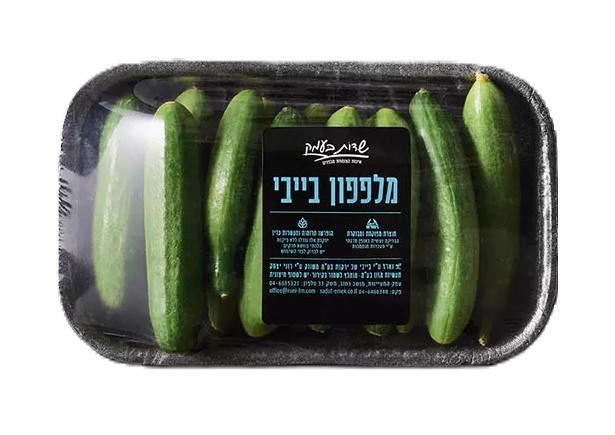 מלפפון בייבי מלפפון בייבי
