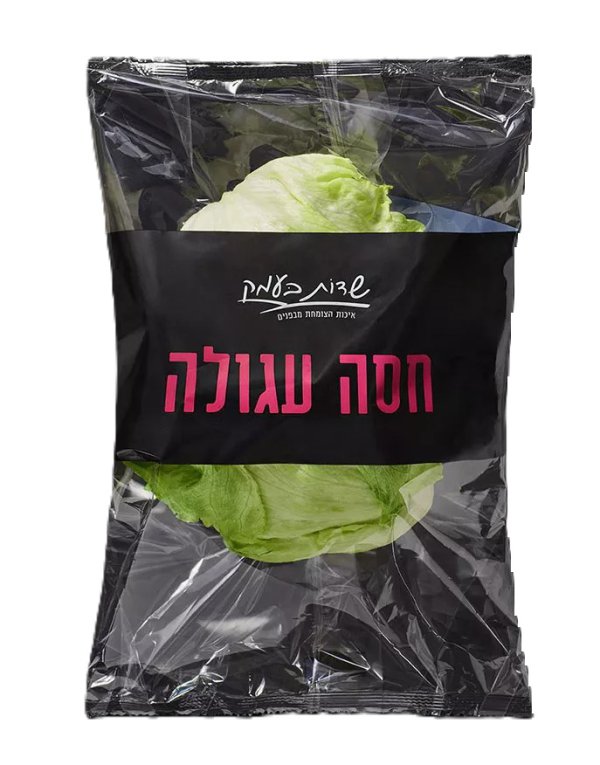 חסה עגולה