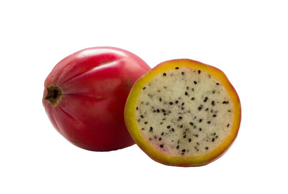 Beautiful,Photo,Of,Fruit,Apple,Cactus,On,A,White,Background Beautiful,Photo,Of,Fruit,Apple,Cactus,On,A,White,Background