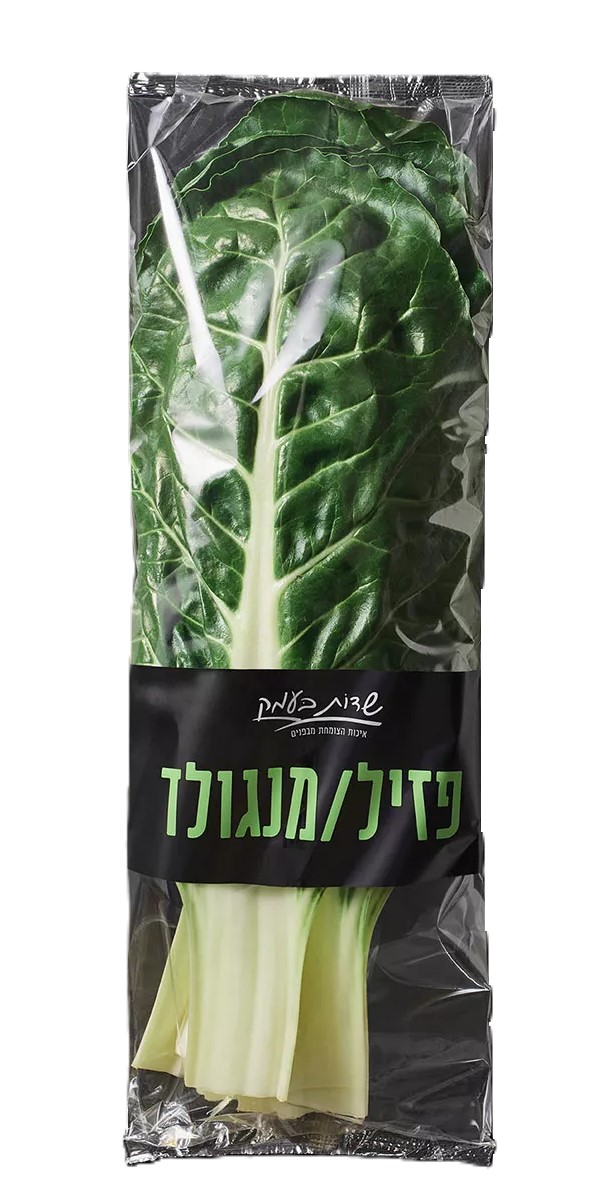 מנגולד