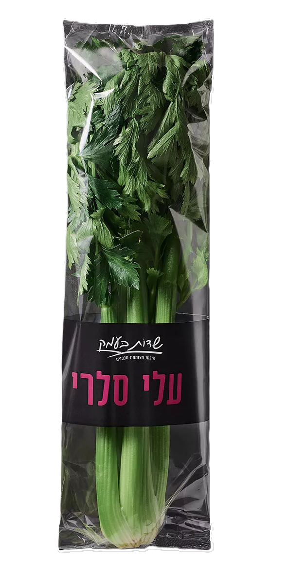 סלרי